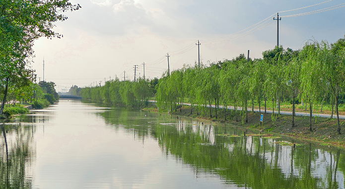 黑臭水體治理,黑臭水體處理,黑臭水體整治